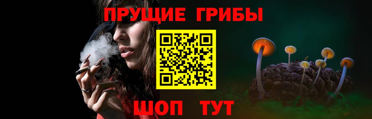 Псилоцибиновые грибы Magic Shrooms  купить  цена  Тобольск  Вход с VPN 