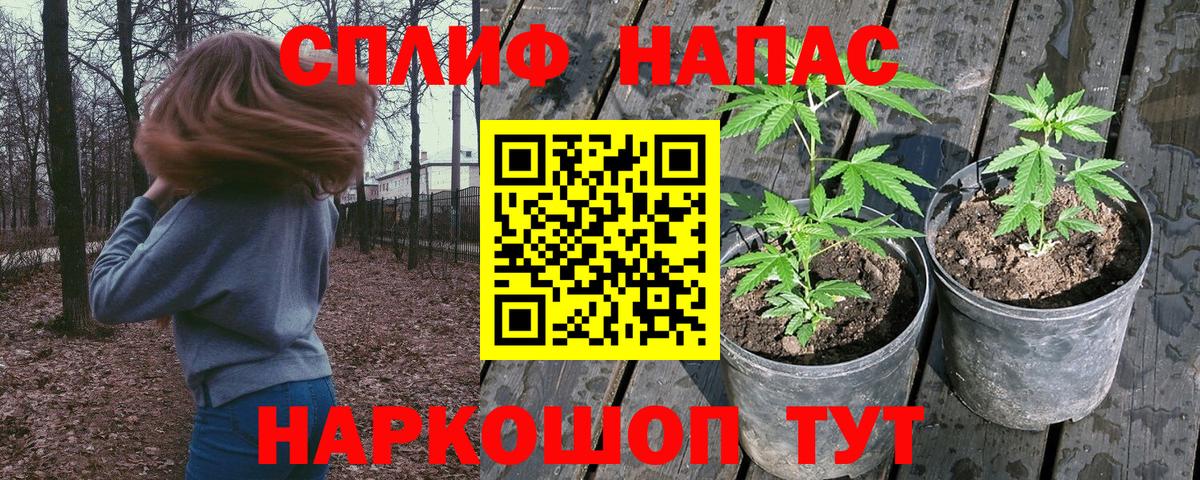 Каннабис Amnesia  Вход с VPN  Тобольск  Марихуана OG Kush  Канабис планчик 